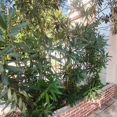 Incognito アパート *